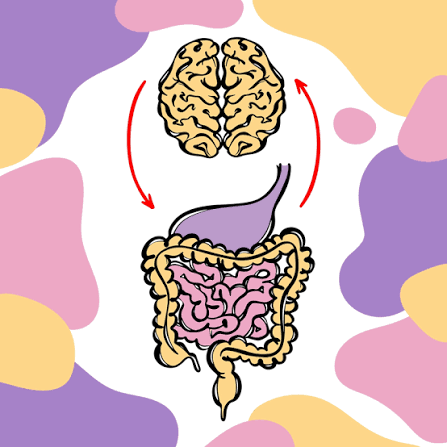 IBS Symptoms After Eating: Causes, Triggers & Relief illustration