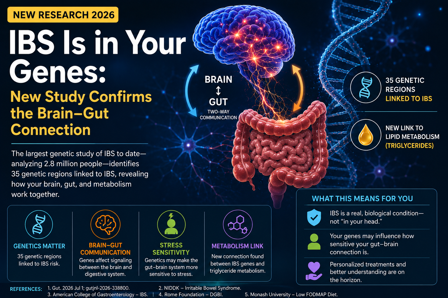 New IBS Genetics Study (2026): Scientists Discover More Evidence That IBS Is Rooted in the Brain–Gut Connection illustration